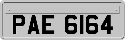 PAE6164