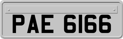 PAE6166