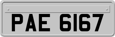 PAE6167