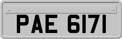 PAE6171