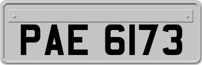PAE6173
