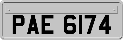 PAE6174