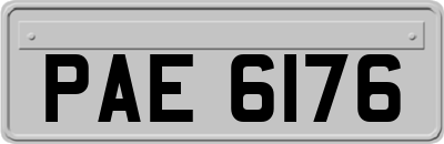 PAE6176