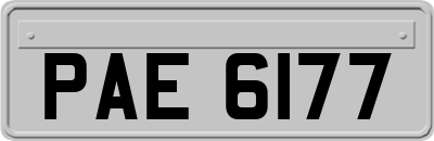 PAE6177