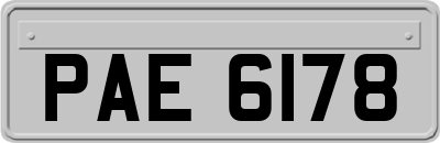 PAE6178