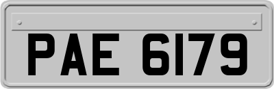 PAE6179