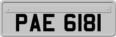PAE6181
