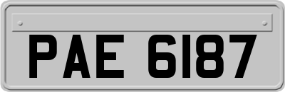 PAE6187