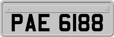 PAE6188
