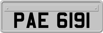 PAE6191