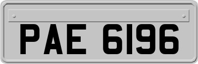 PAE6196