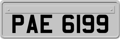 PAE6199