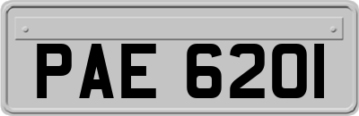 PAE6201