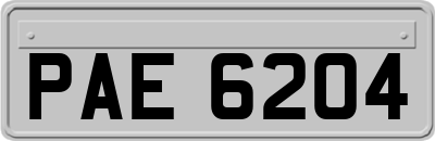 PAE6204
