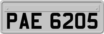 PAE6205