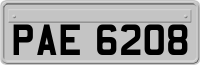 PAE6208