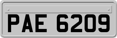 PAE6209