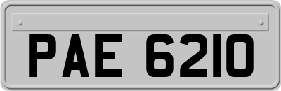 PAE6210
