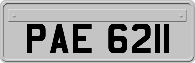 PAE6211