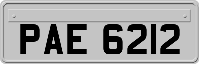 PAE6212