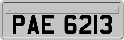 PAE6213