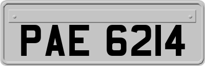 PAE6214