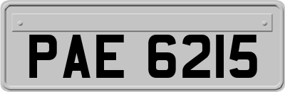 PAE6215