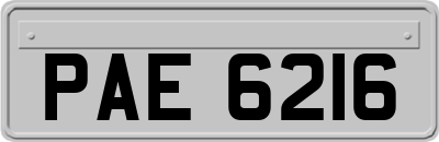 PAE6216