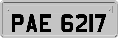 PAE6217