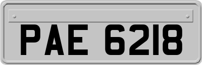 PAE6218