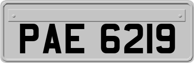 PAE6219