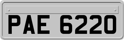 PAE6220