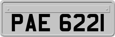 PAE6221