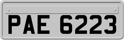 PAE6223
