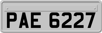 PAE6227