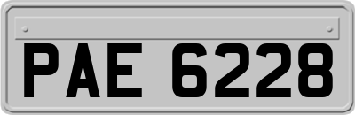PAE6228