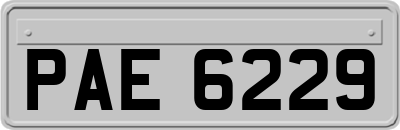 PAE6229