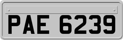PAE6239