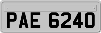 PAE6240
