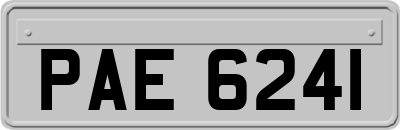 PAE6241