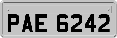 PAE6242
