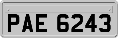 PAE6243