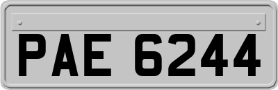 PAE6244