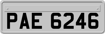 PAE6246