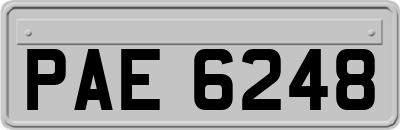 PAE6248