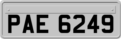 PAE6249