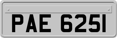 PAE6251