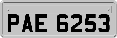 PAE6253