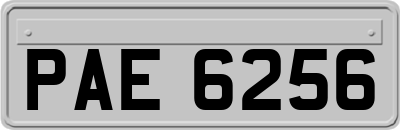PAE6256