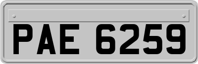 PAE6259